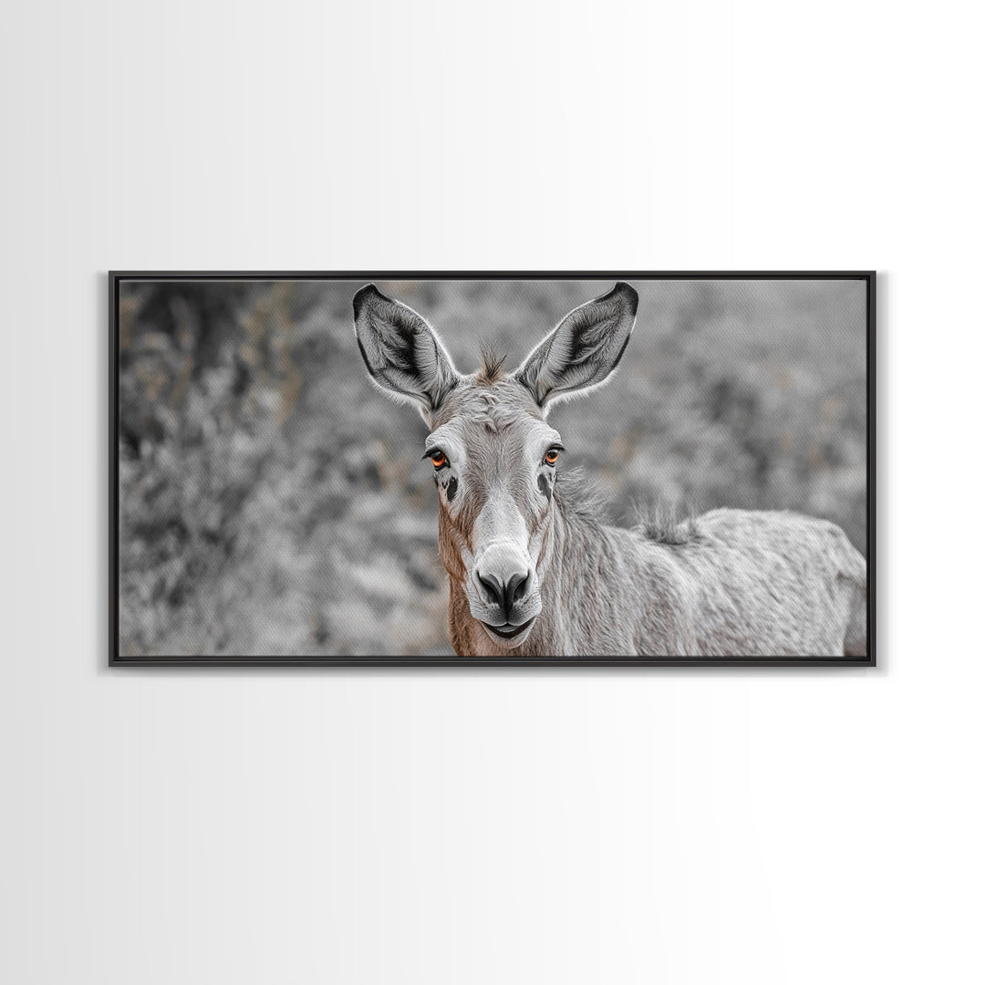 Donkey Close-Up Framed Canvas Print | Rustic Farmhouse Art | Moody Animal Portrait | Southwest Wall Art | Extra Wide Art | Above Couch Decor