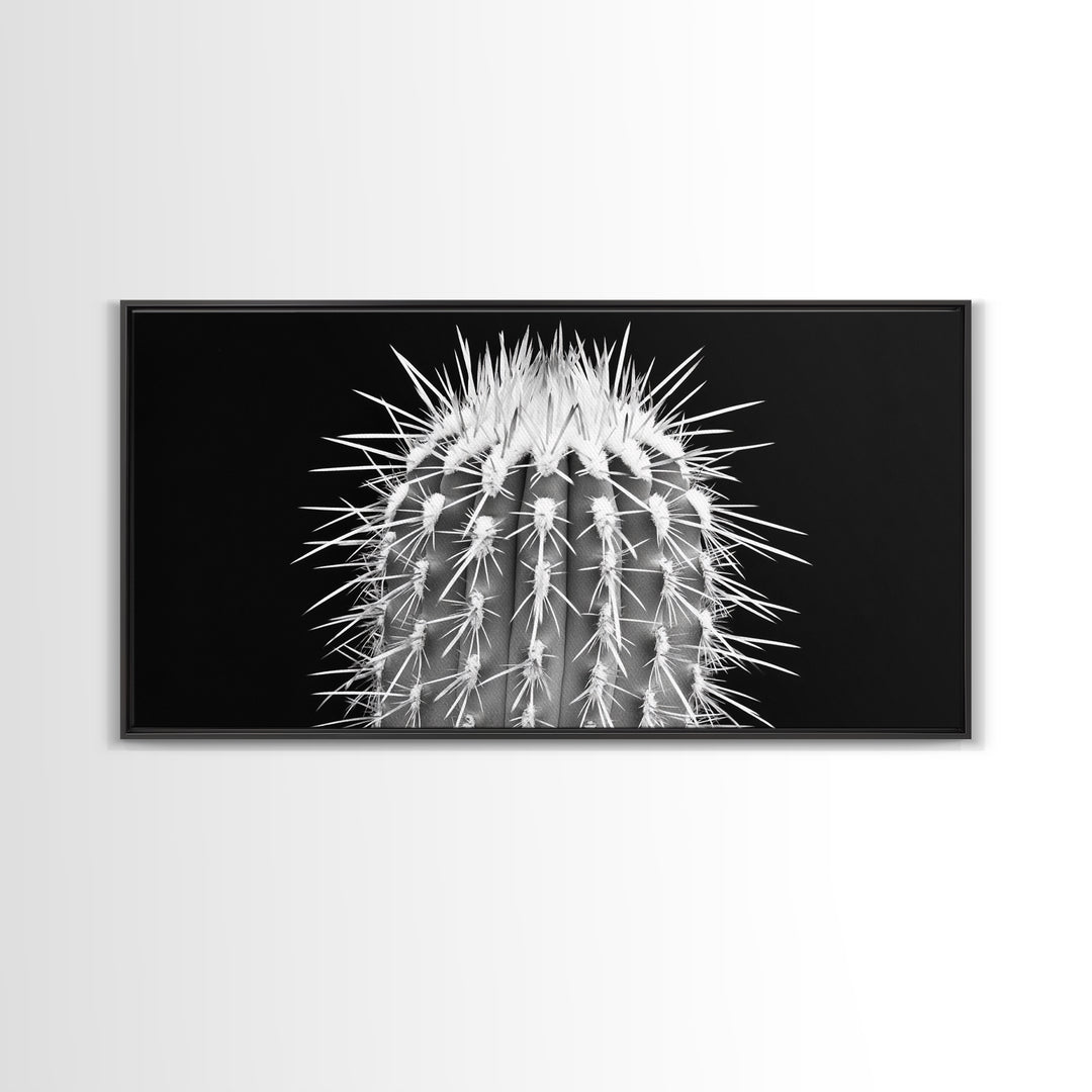 Cactus Spines, southwest wall art, desert art, botanical prints, geometric wall art, nature photography, sharp contrast, Framed Canvas Print