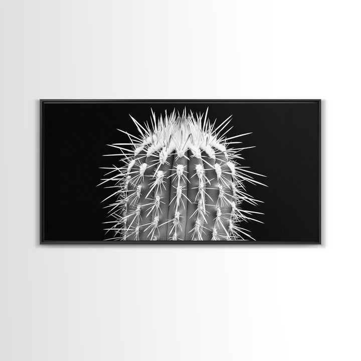 Cactus Spines, southwest wall art, desert art, botanical prints, geometric wall art, nature photography, sharp contrast, Framed Canvas Print