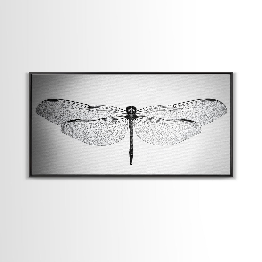 Dragonfly, line art, minimalist art, black and white art, nature painting, botanical prints, extra wide art, framed canvas print