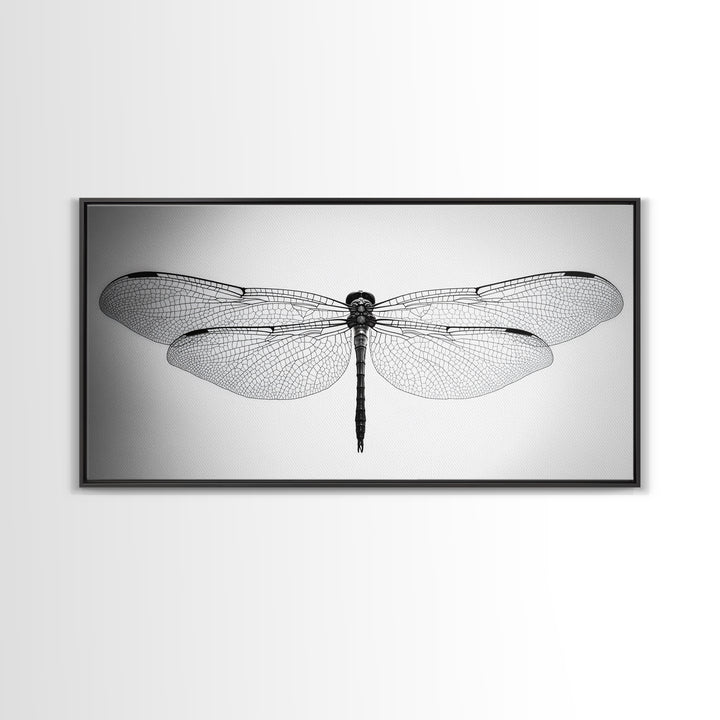Dragonfly, line art, minimalist art, black and white art, nature painting, botanical prints, extra wide art, framed canvas print