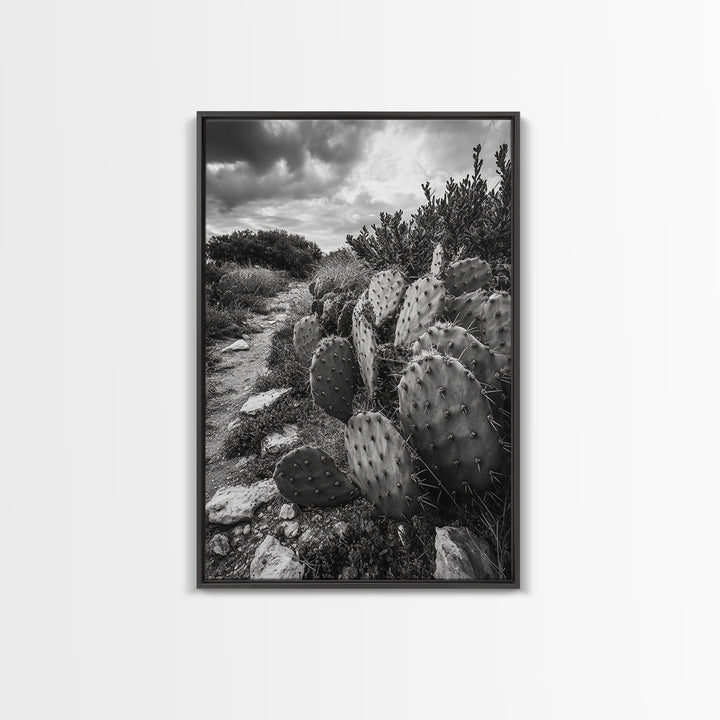 Cactus Trail, southwest wall art, rustic decor, desert painting, wabi sabi art, nature landscape art, framed canvas print, farmhouse decor