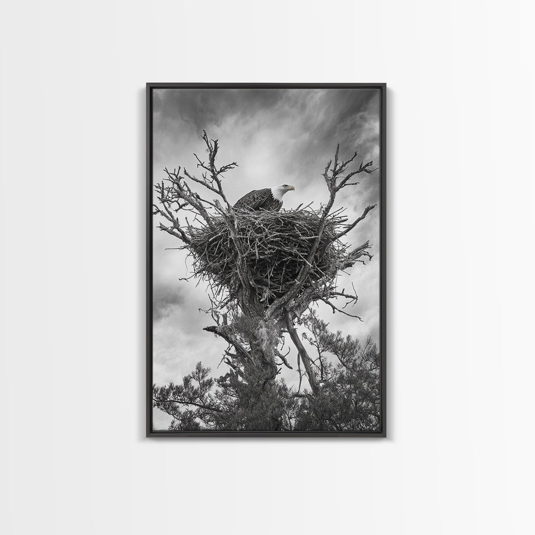 Bald Eagle, bird art, nature photography, moody art, rustic decor, patriotic wall art, black and white, framed canvas print, wildlife art