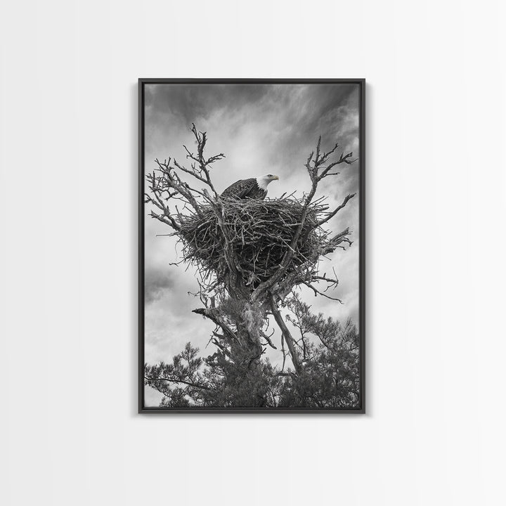 Bald Eagle, bird art, nature photography, moody art, rustic decor, patriotic wall art, black and white, framed canvas print, wildlife art