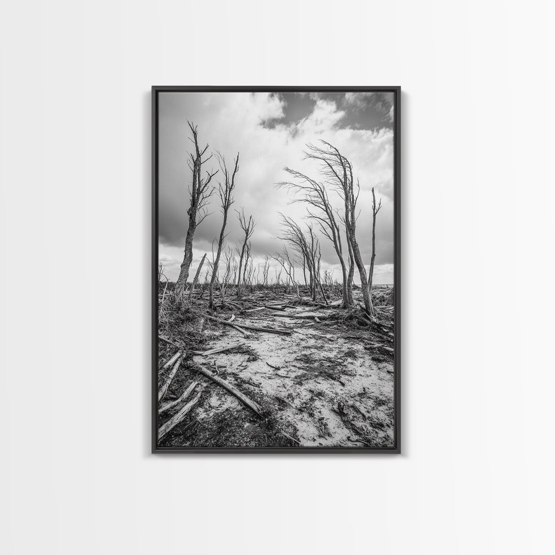 Windblown Trees, stormy sky, moody landscape, wabi sabi art, black and white, framed canvas print, rustic decor, nature photography