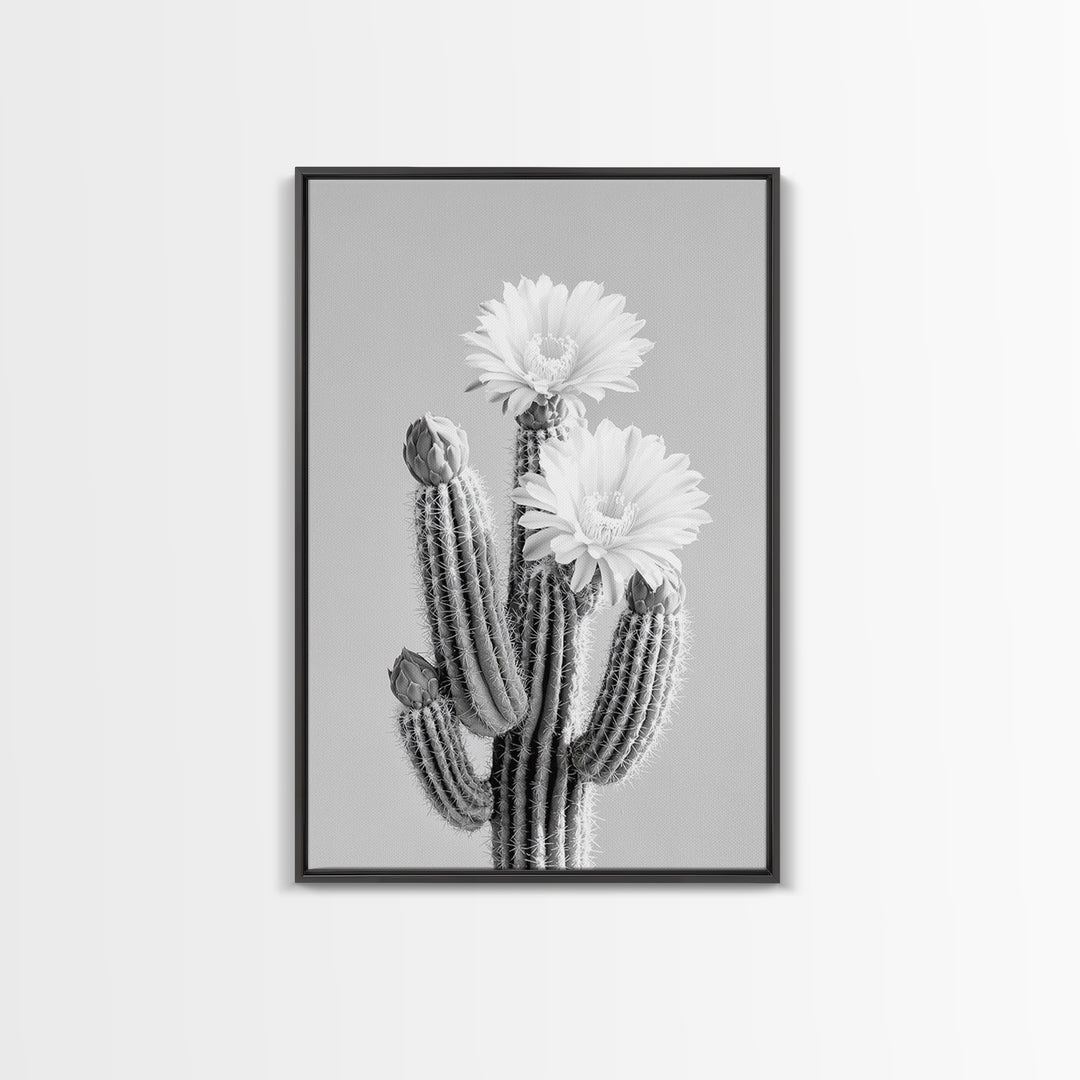 Cactus Bloom, desert botanical, minimalist art, black and white, southwest wall art, framed canvas print, vertical wall art, moody art