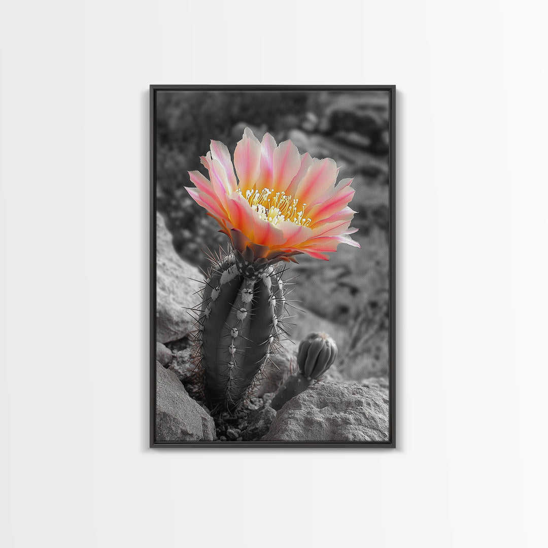Blooming cactus, botanical print, desert flora, framed canvas print, nature decor, succulent wall art, pink flowers, southwest painting