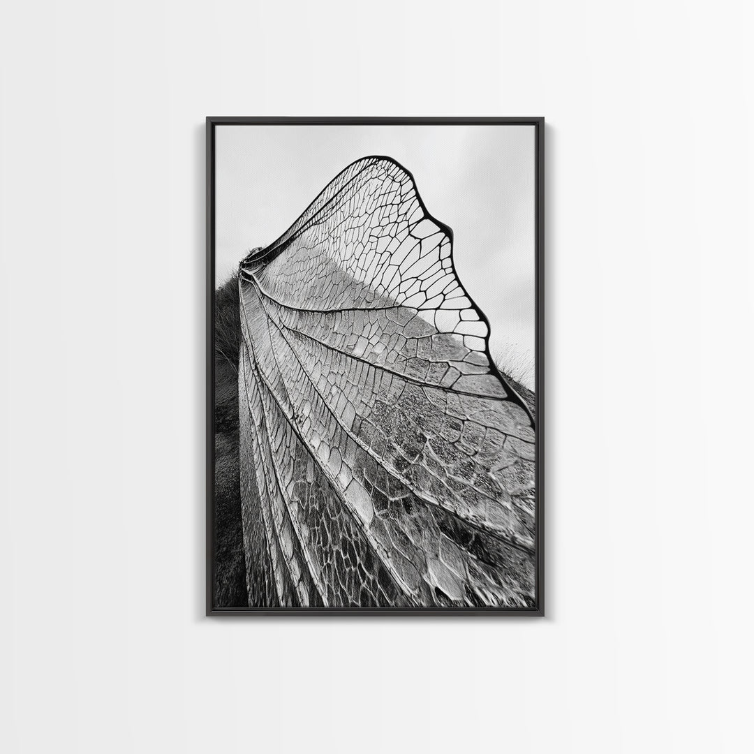 Dragonfly Wing, nature photography, moody art, wabi sabi art, minimalist art, botanical prints, framed canvas print, rustic wall art