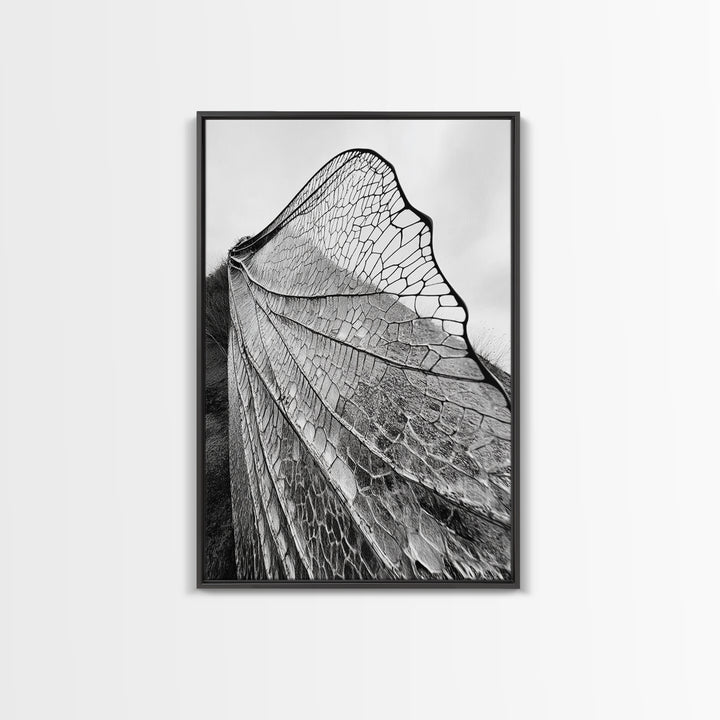 Dragonfly Wing, nature photography, moody art, wabi sabi art, minimalist art, botanical prints, framed canvas print, rustic wall art