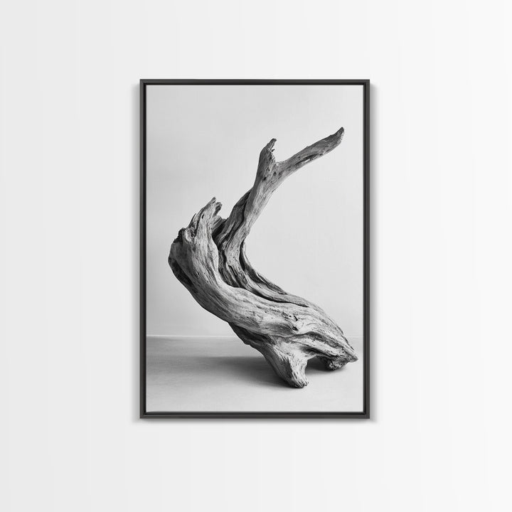 Driftwood Sculpture, wabi sabi art, rustic decor, minimalist art, botanical prints, farmhouse art, framed canvas print, living room art