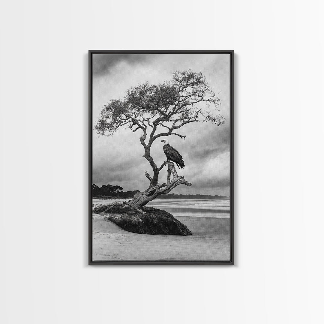Bald eagle, nature wall art, moody art, wildlife photography, tree art, black and white art, above bed wall art, framed canvas print