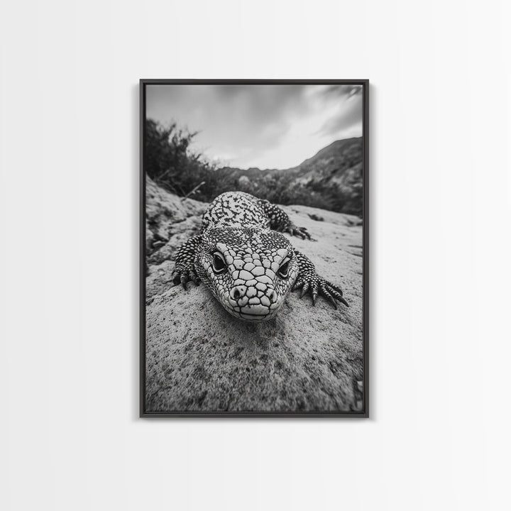 Lizard art, wildlife photography, moody art, desert decor, black and white photography, wabi sabi wall art, framed canvas print, unique gift
