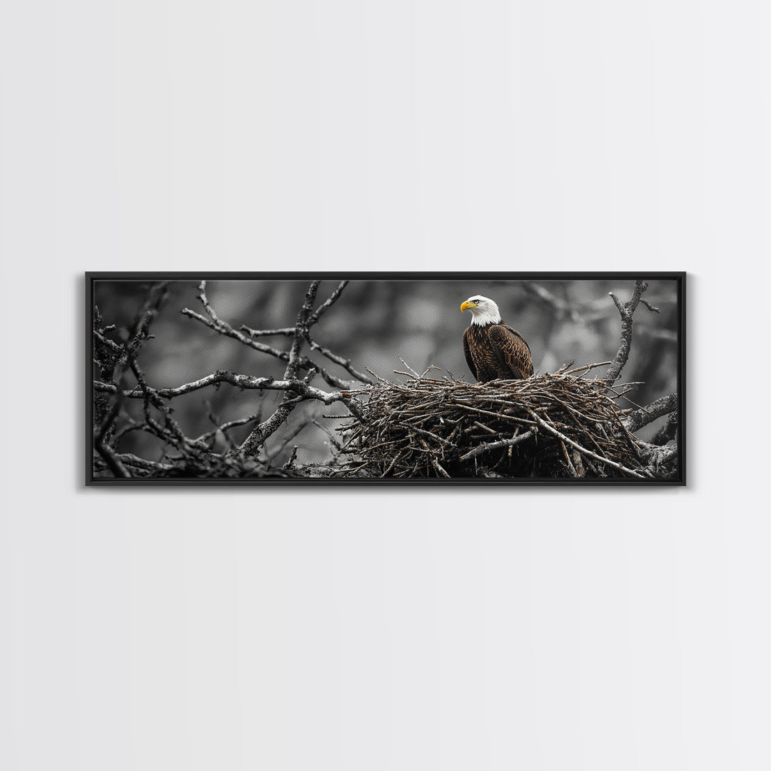 Bald Eagle, Nature Wall Art, Rustic Art, Wildlife Photography, Bird Art, Above Sofa Art, Panoramic Art, Framed Canvas Print