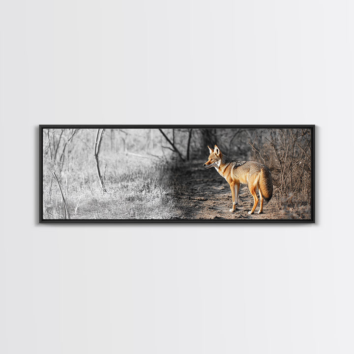 Coyote in Forest, Wildlife Wall Art, Rustic Decor, Nature Art, Moody Art, Extra Wide Art, Panoramic Art, Framed Canvas Print