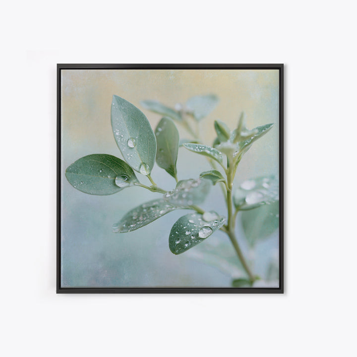 Rain on Leaves Framed Canvas Print, Spa Art, Art Print, Spa Decor, Serenity, Botanical Art, Nature Prints, Travel Poster, SPA-1x1-40