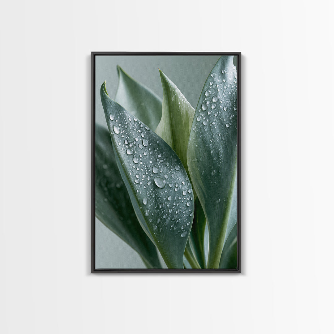 Rain on Leaves Framed Canvas Print, Spa Art, Modern Decor, Spa Decor, Fine Art, Serenity, Wall Decor, Printable Wall Art, SPA-2x3-24
