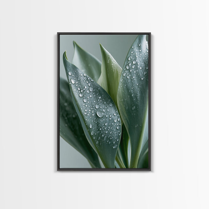 Rain on Leaves Framed Canvas Print, Spa Art, Modern Decor, Spa Decor, Fine Art, Serenity, Wall Decor, Printable Wall Art, SPA-2x3-24