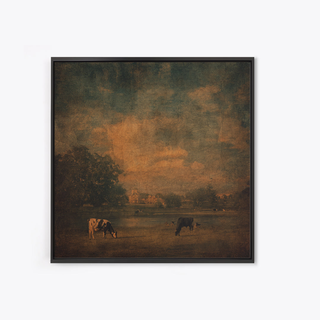 Pastoral Countryside with Cows in Field Framed Canvas Print, Traditional Art, Artwork, Living Room Decor, Fine Art, Classic, TRA-1x1-7