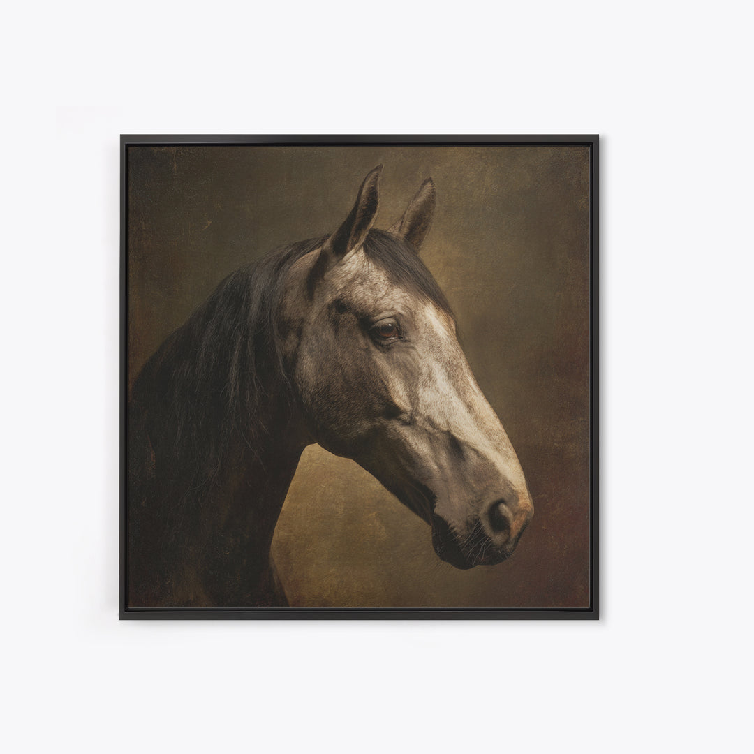 Realistic Horse Portrait Canvas Print, Traditional Art, Art, Living Room Decor, Classic, Printable Art, Art Commissions, TRA-1x1-99