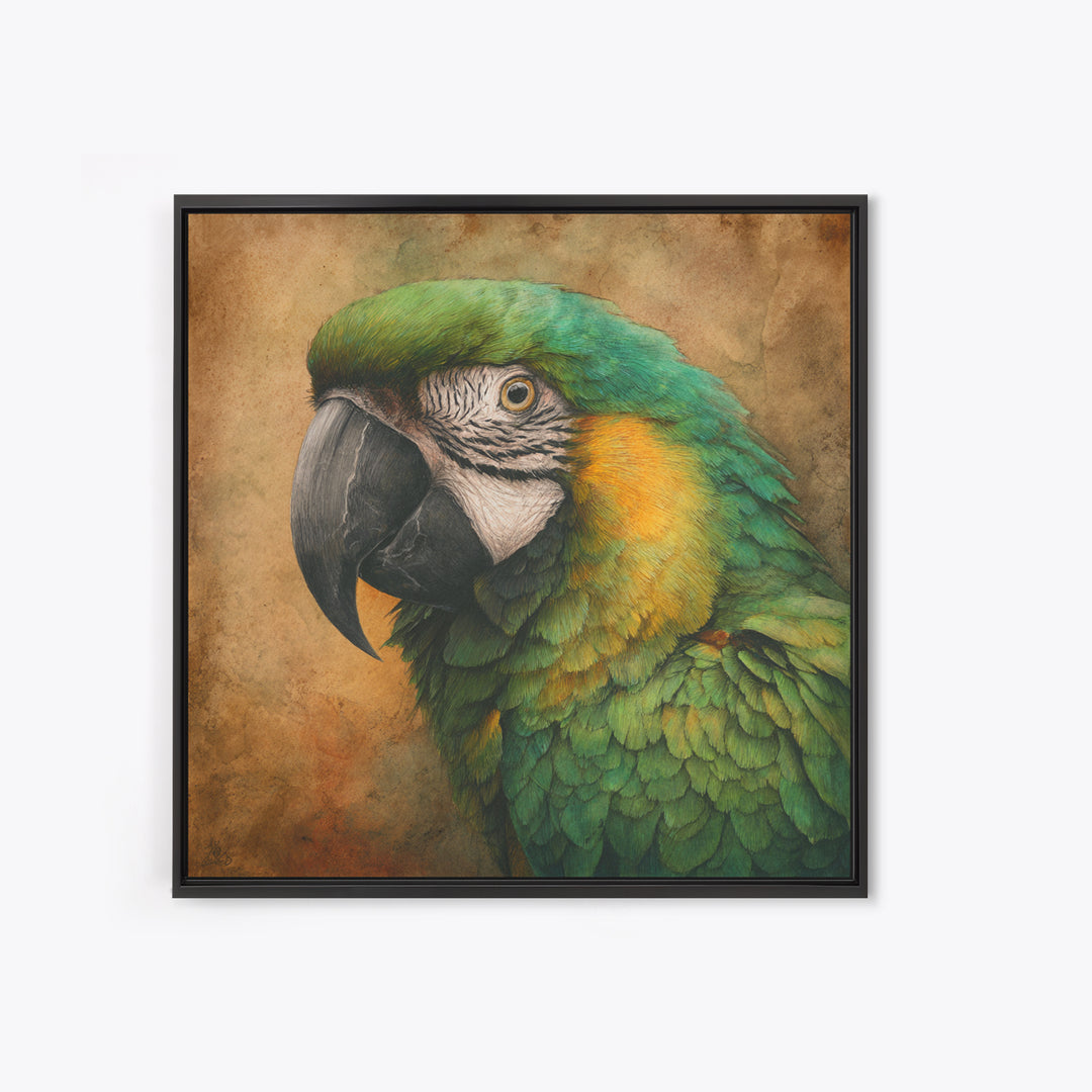 Parrot Portrait with Emerald Feathers Framed Canvas Print, Tropical Art, Gallery Decor, Living Room Decor, Fine Art, Tropic, TRO-1x1-32