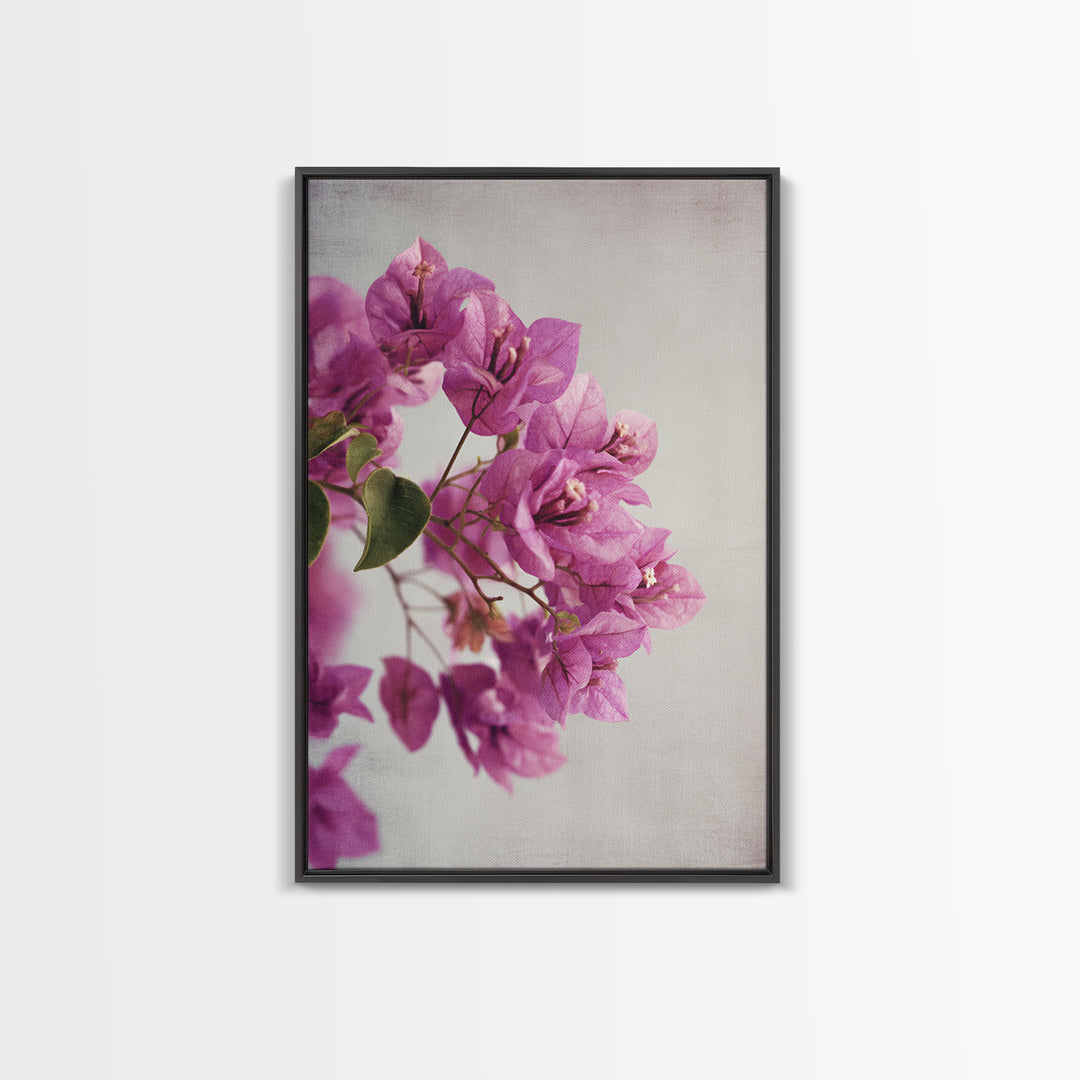 Pink Bougainvillea over White Wall Canvas Print, Tropical Art, Abstract Painting, Living Room Decor, Fine Art, Tropic, TRO-2x3-96