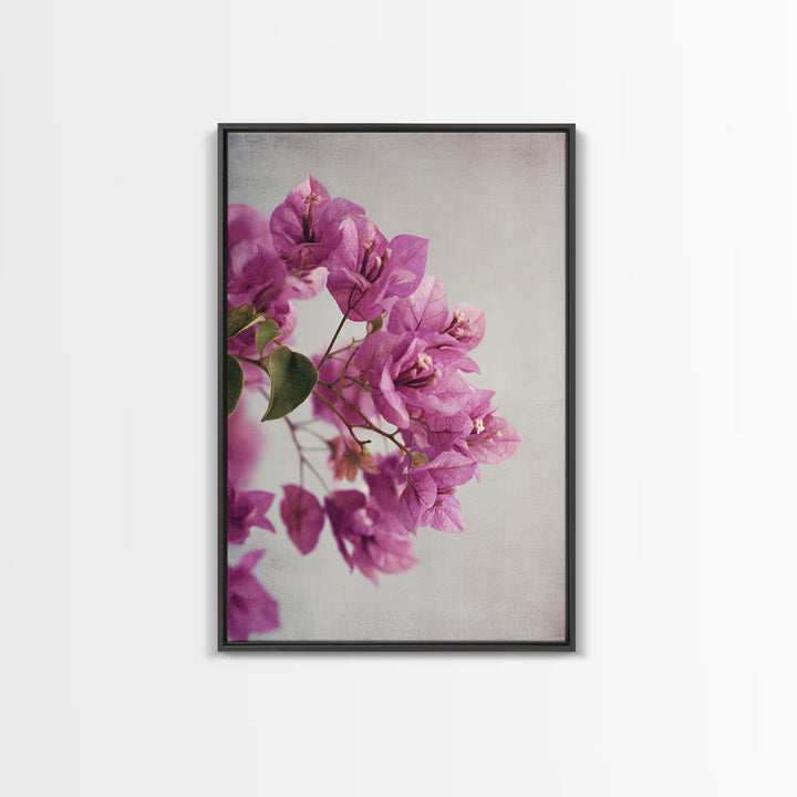 Pink Bougainvillea over White Wall Canvas Print, Tropical Art, Abstract Painting, Living Room Decor, Fine Art, Tropic, TRO-2x3-96