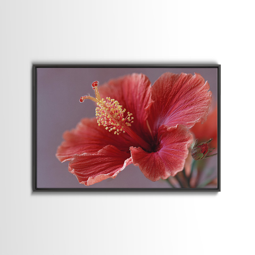 Hibiscus Flower Closeup Framed Canvas Print, Tropical Art, Fine Art Print, Living Room Decor, Watercolor Art, Tropic, TRO-3x2-81