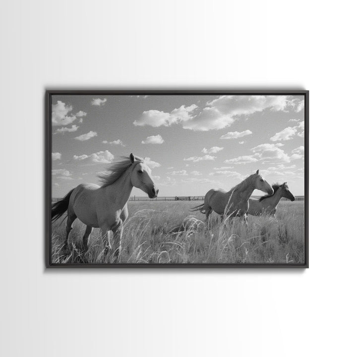 Fine Art Framed Canvas Print, Metal Art, Black & White Photo of Wild Mustangs, Horse Art, American Horses Landscape / Nature / Wildlife Art