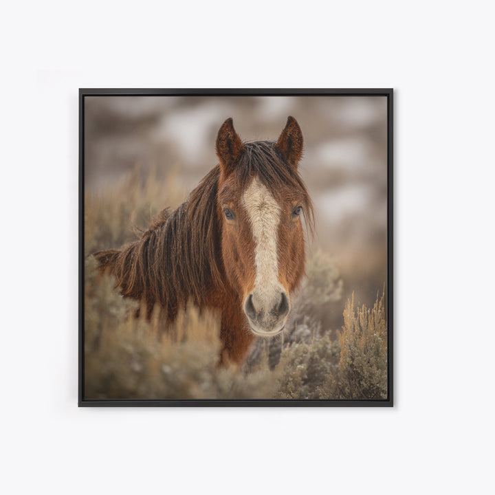 Wild Horse Portrait Framed Canvas Print, Wall Art, Boho Decor, Living Room Decor, Fine Art, Painting, Art Print, WAL-1x1-37