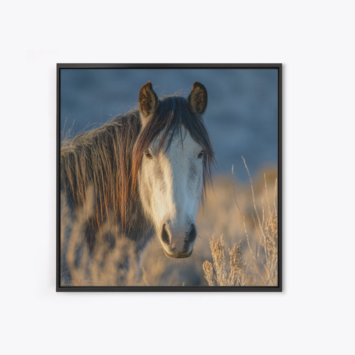 Wild Horse Portrait Framed Canvas Print, Wall Art, Boho Decor, Living Room Decor, Fine Art, Painting, Art Print, WAL-1x1-61