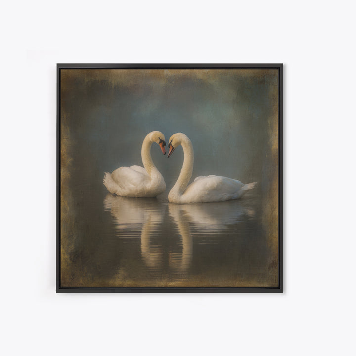 Two Swans Forming a Heart on Dark Canvas Print, Wedding Art, Unique Wedding Gift, Living Room Decor, Fine Art, Romance, WED-1x1-50