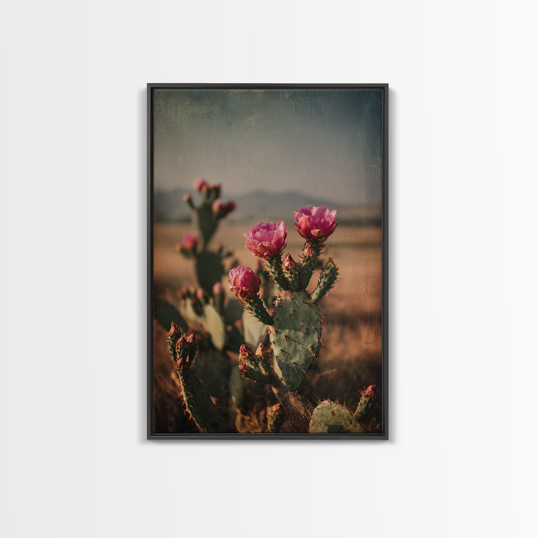 Prickly Pear Cactus Framed Canvas Print, Western Art, Modern Decor, Southwestern Decor, Fine Art, Frontier, Wall Decor, WES-2x3-24