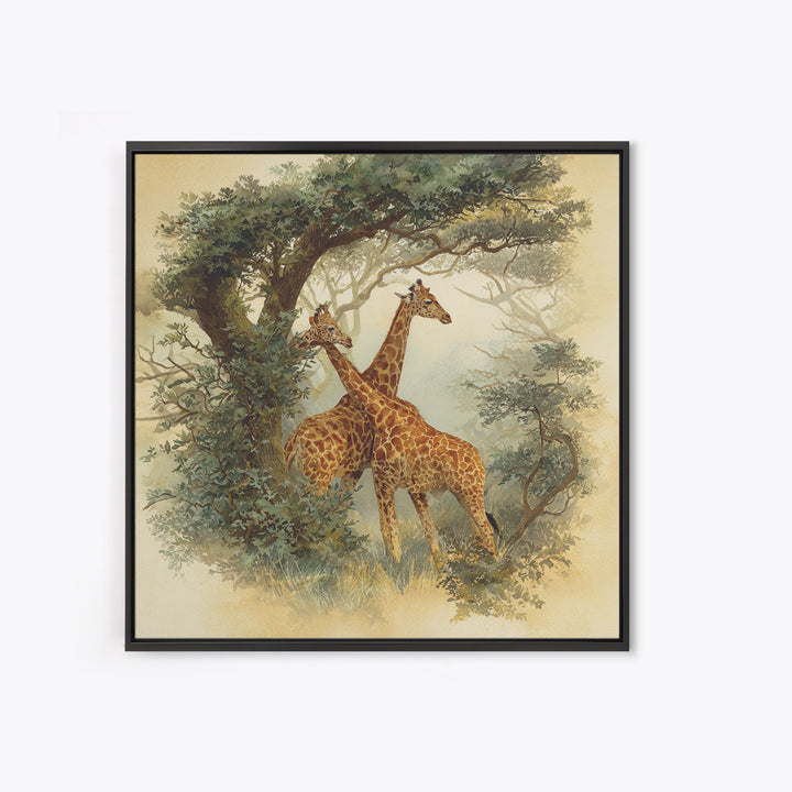 Giraffe Pair under Acacia Tree Framed Canvas Print, Wildlife Art, Living Room Decor, Fine Art, Wild, Living Room Art, WIL-1x1-7