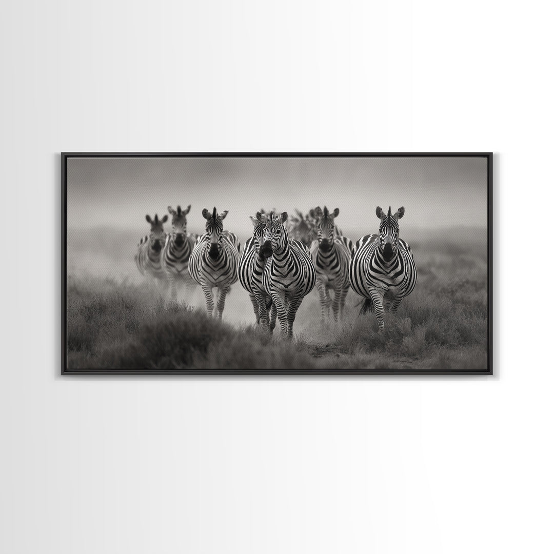 Zebra Herd in Graphic Black and White Framed Canvas Print, Wildlife Art, Boho Wall Decor, Living Room Decor, Fine Art, Wild, WIL-2x1-55