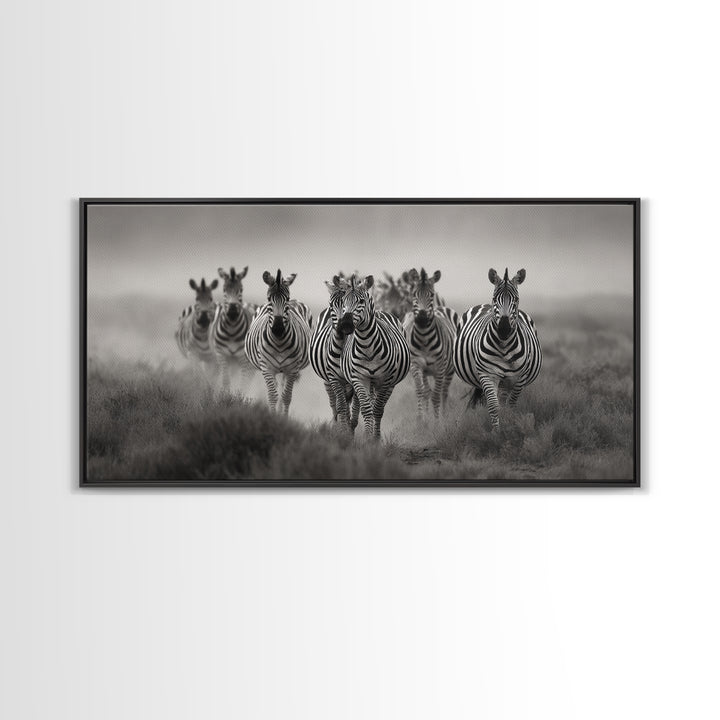 Zebra Herd in Graphic Black and White Framed Canvas Print, Wildlife Art, Boho Wall Decor, Living Room Decor, Fine Art, Wild, WIL-2x1-55