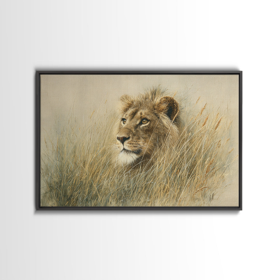 Lion Emerging from Golden Savanna Grass Framed Canvas Print, Wildlife Art, Gallery Decor, Living Room Decor, Fine Art, Wild, WIL-3x2-77