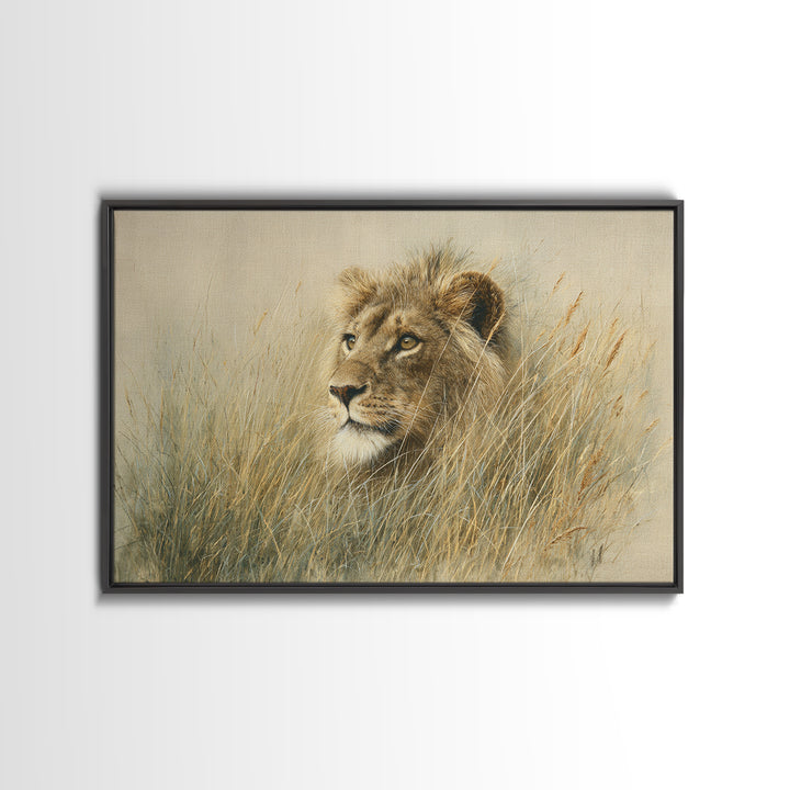 Lion Emerging from Golden Savanna Grass Framed Canvas Print, Wildlife Art, Gallery Decor, Living Room Decor, Fine Art, Wild, WIL-3x2-77