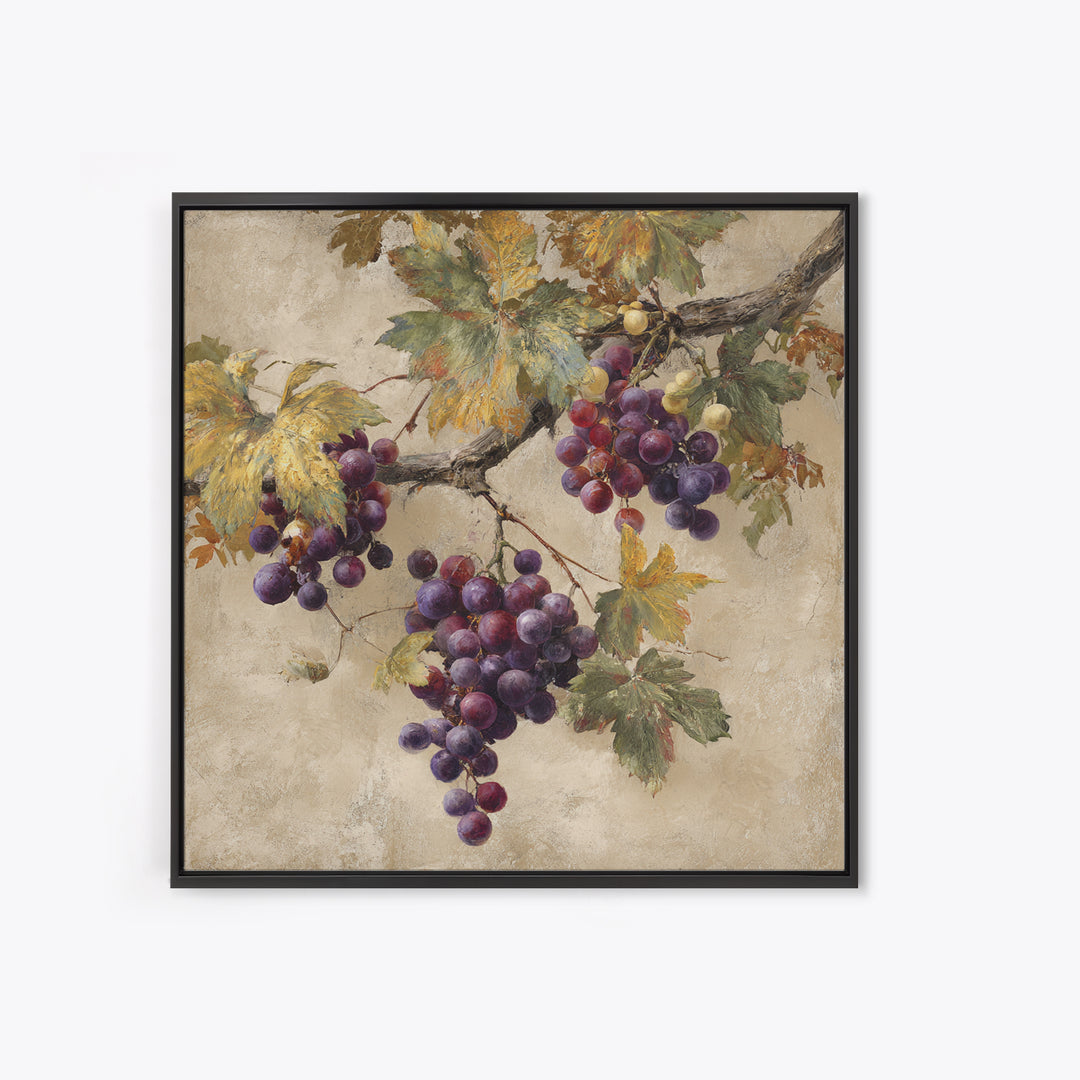 Grapevine Branch with Purple Grapes and Leaves Framed Canvas Print, Winery Art, Home Decor, Winery Decor, Fine Art, Vineyard, WIN-1x1-73