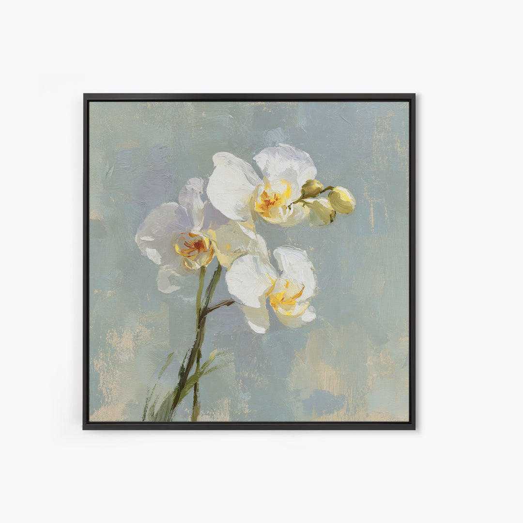 White Orchid on Light Gray Ground Canvas Print, Waiting Room Art, Office Wall Decor, Waiting Room Decor, Fine Art, Calm, WRA-1x1-31