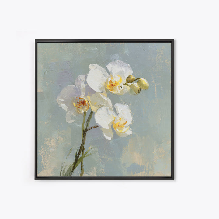 White Orchid on Light Gray Ground Canvas Print, Waiting Room Art, Office Wall Decor, Waiting Room Decor, Fine Art, Calm, WRA-1x1-31