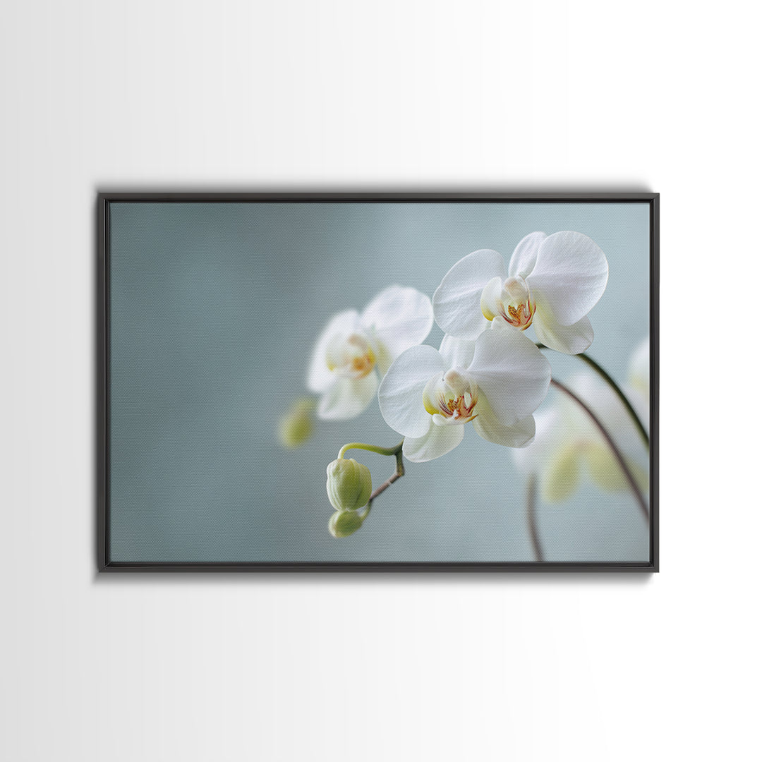 White Orchid on Light Gray Ground Canvas Print, Waiting Room Art, Digital Art Print, Waiting Room Decor, Fine Art, Calm, WRA-3x2-11