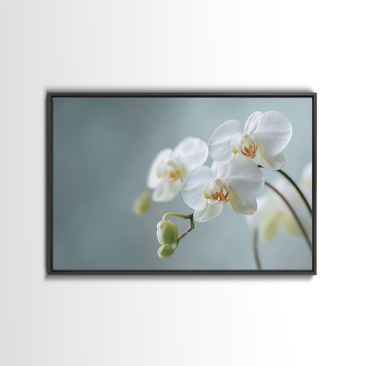White Orchid on Light Gray Ground Canvas Print, Waiting Room Art, Digital Art Print, Waiting Room Decor, Fine Art, Calm, WRA-3x2-11