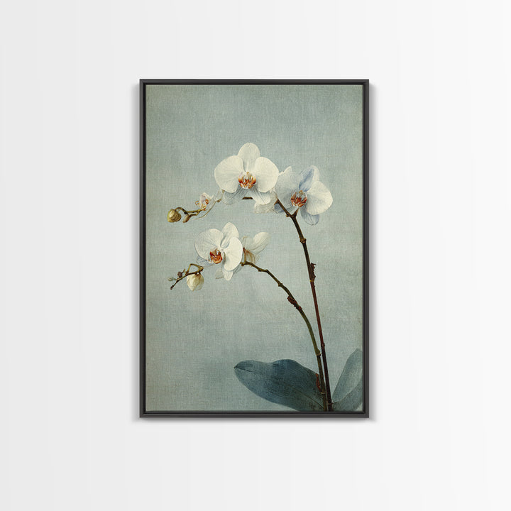 Single Orchid Stem Canvas Print, Zen Art, Art, Living Room Decor, Fine Art, Zen, Garden Art, Japanese Wall Art, Boho Wall Decor, ZEN-2x3-7