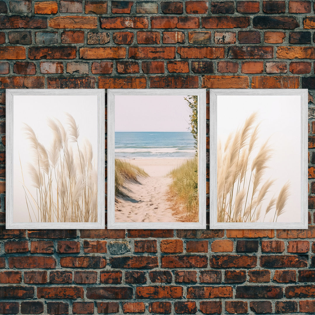 Set of 3 Pampas Grass, Beach Ocean Shore Photography Prints, Minimalist Modern Art Neutral Coastal Room Decor Framed Canvas Wall Art