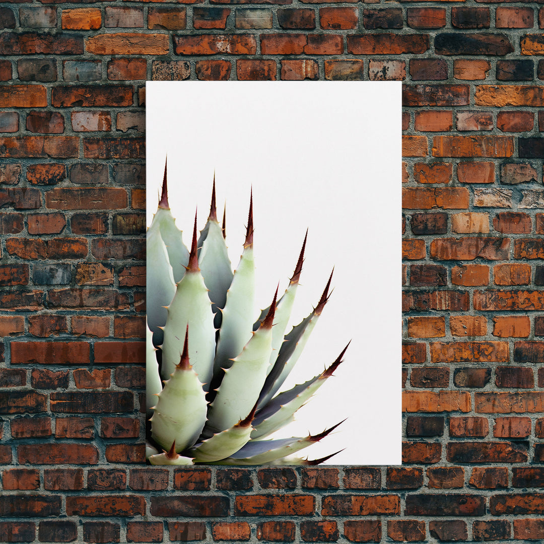 Desert Cactus Art Print, Modern Home Decor, Framed Canvas Print Or Poster, Botanical Print Desert Art Cactus, Bathroom Or Bedroom Or Office
