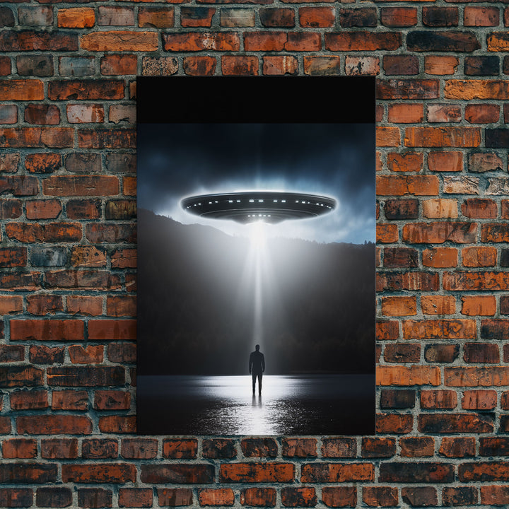 The Encounter, Framed Canvas Print, Scifi Canvas Art, UFO Photography