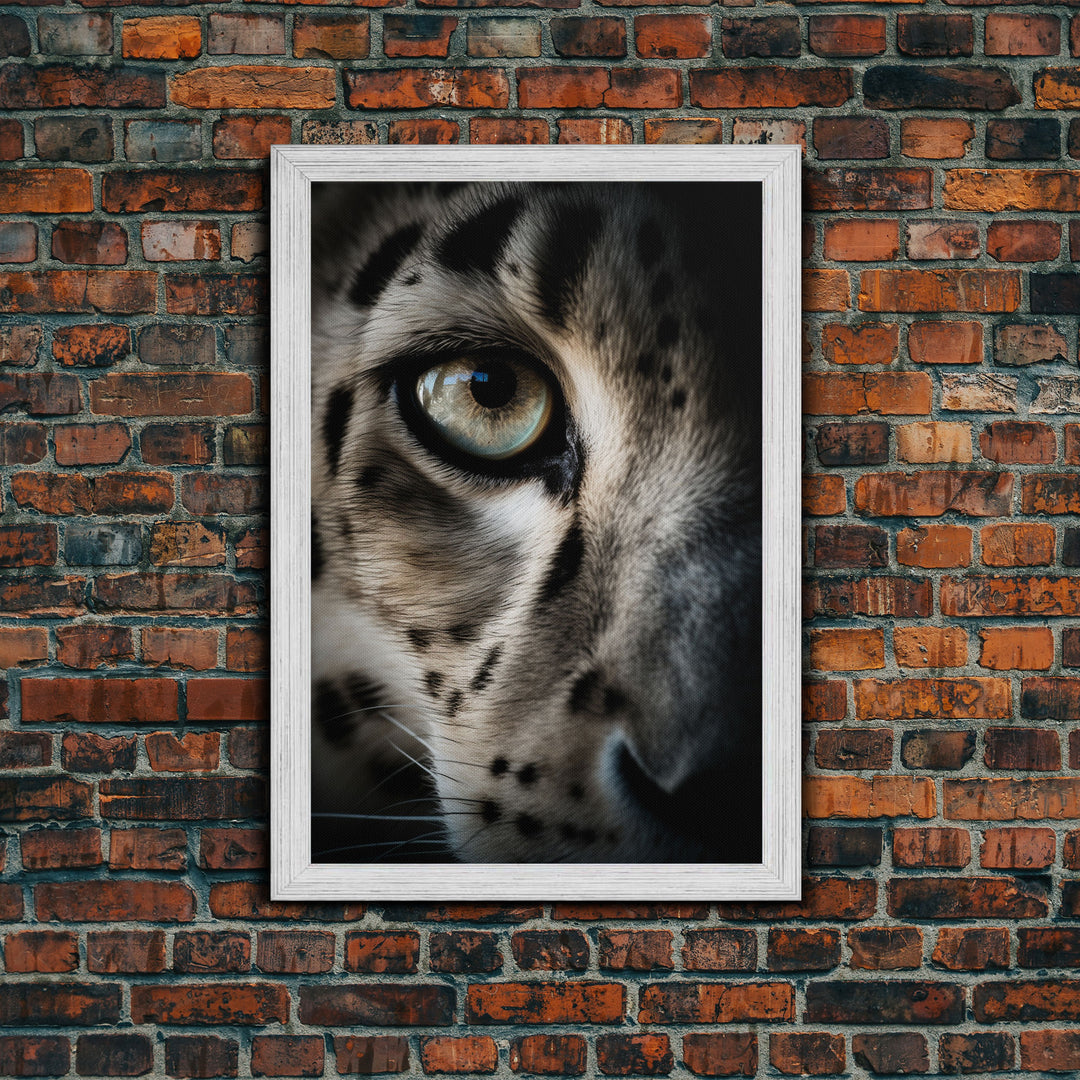 Snow Leopard Photography Art, Framed Canvas Print, Predator Art, Big Cat Art