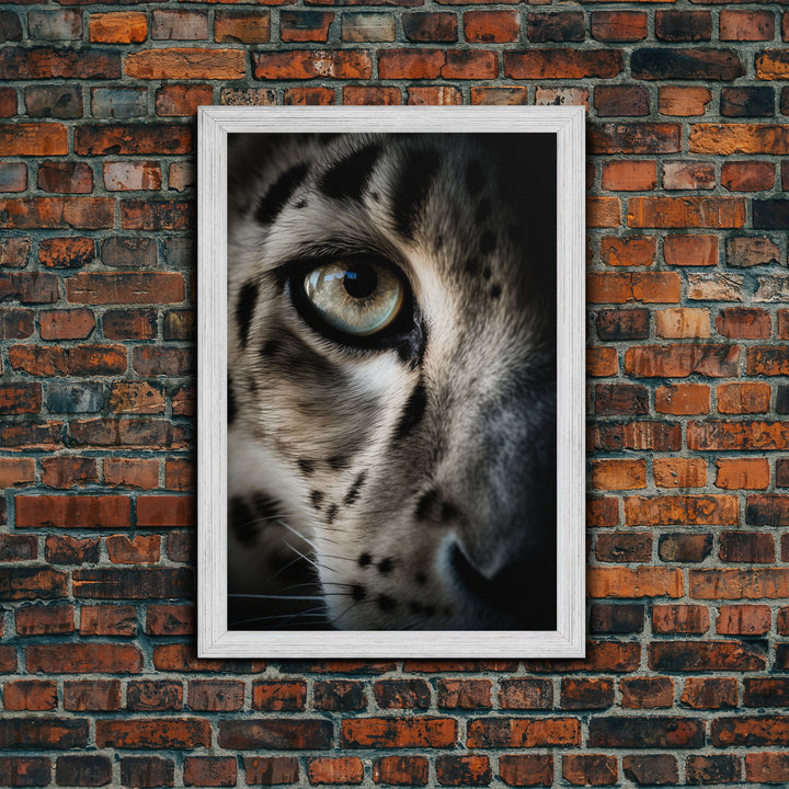 Snow Leopard Photography Art, Framed Canvas Print, Predator Art, Big Cat Art