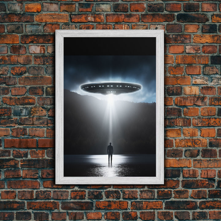 The Encounter, Framed Canvas Print, Scifi Canvas Art, UFO Photography