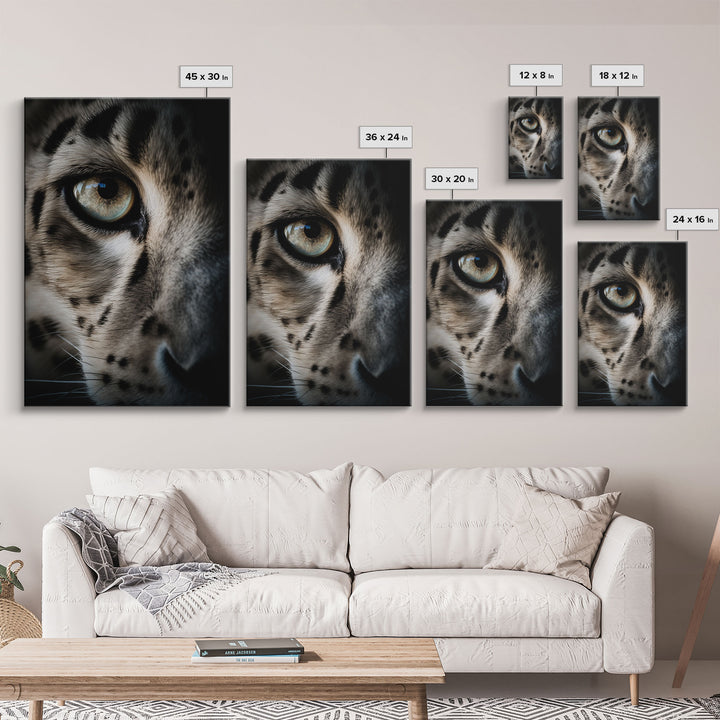 Snow Leopard Photography Art, Framed Canvas Print, Predator Art, Big Cat Art